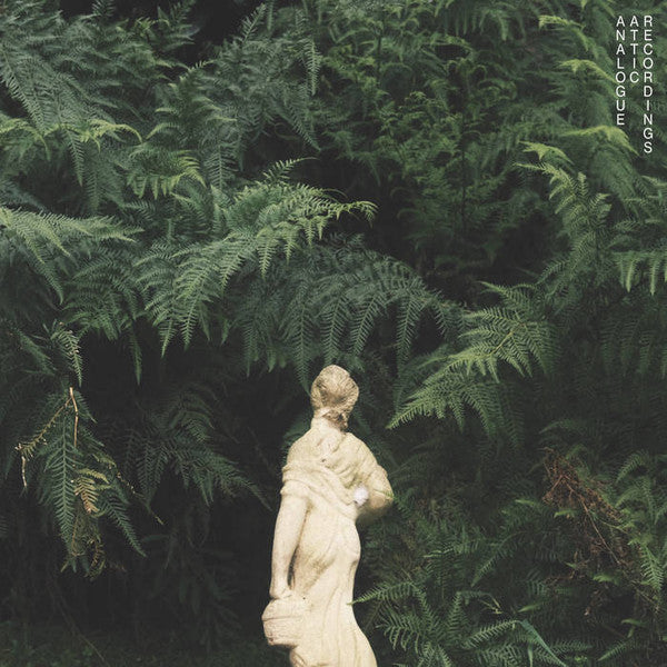 Alex Albrecht – Allambie