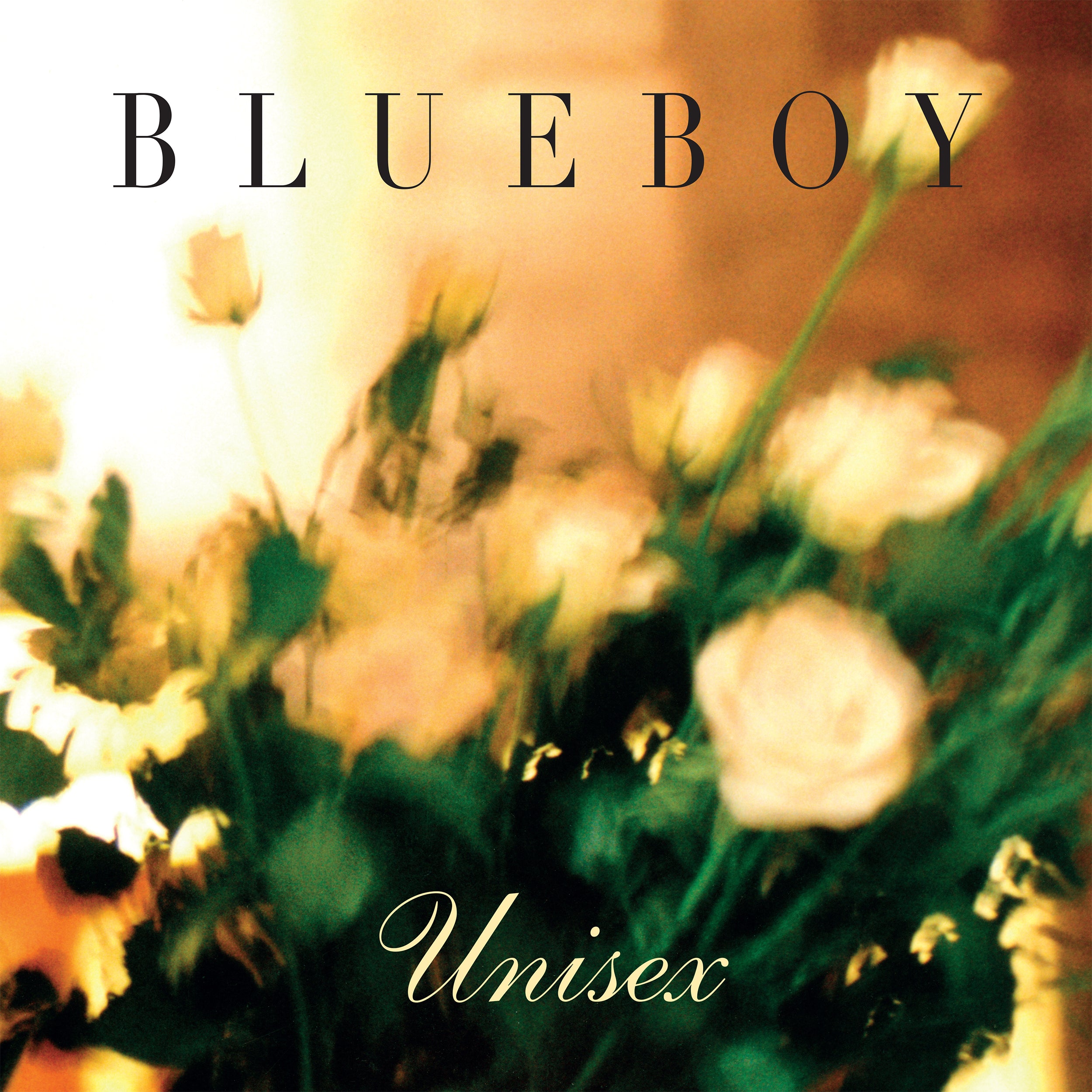 Blueboy Unisex レコード Blueboy – Unisex