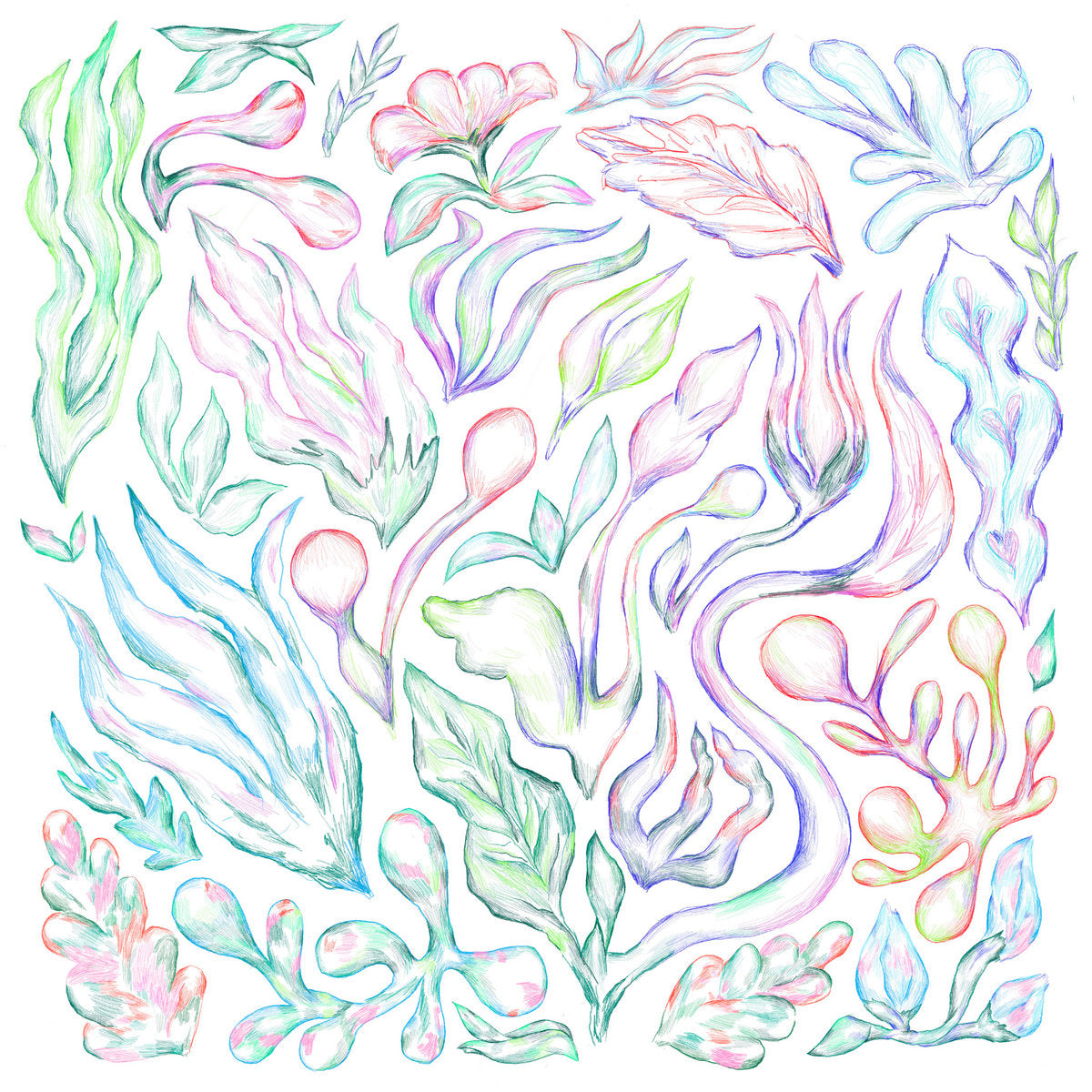 Various - Plants Can Dance (curated by Auntie Flo)【近日入荷予定】