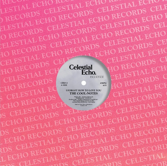 The Cool-Notes - I Forgot How To Love You【近日入荷予定】