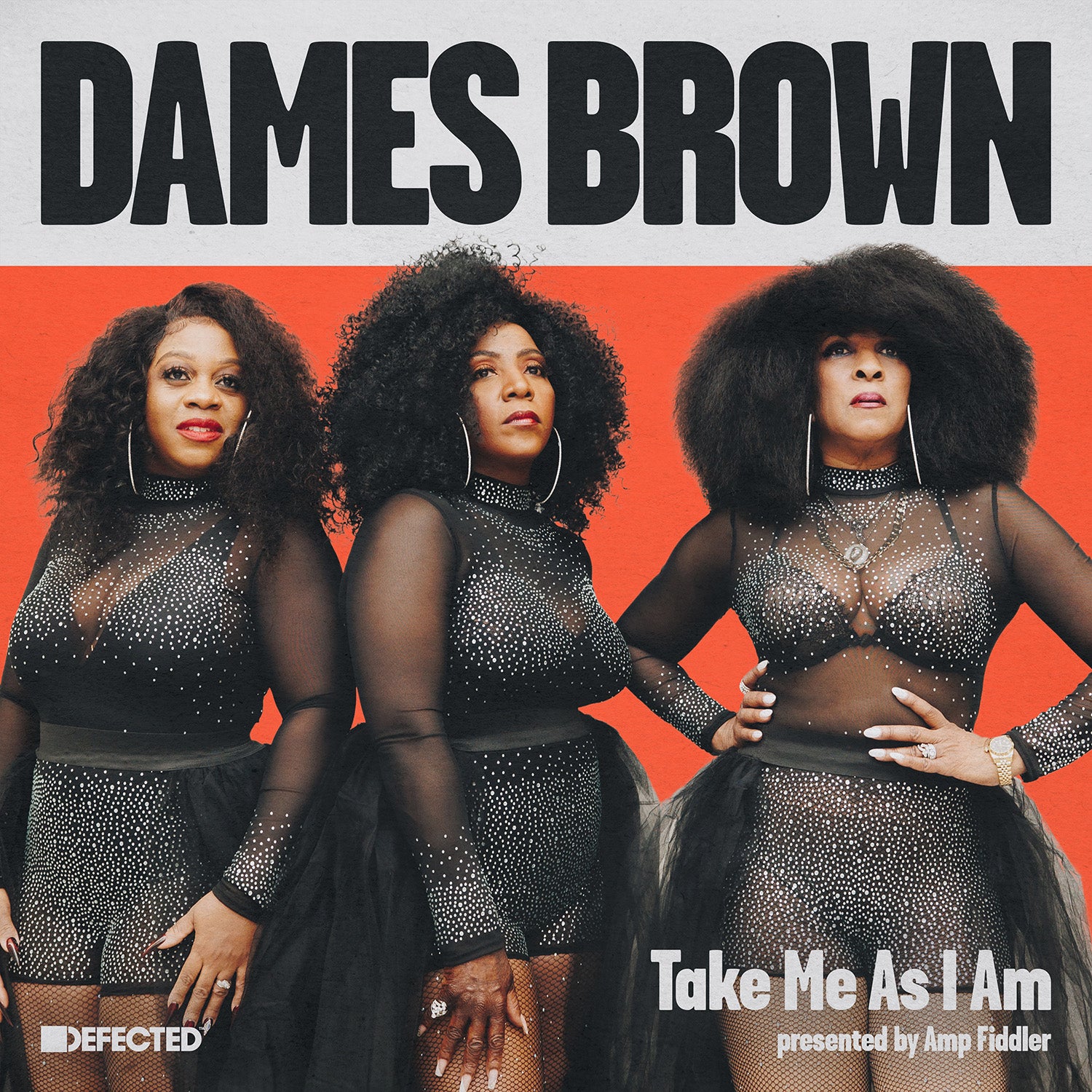 Dames Brown - Take Me As I Am (Presented By Amp Fiddler)【近日入荷予定】