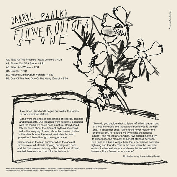 Darryl Baalki – Flower Out Of A Stone