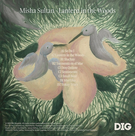 Misha Sultan - Lantern In The Woods