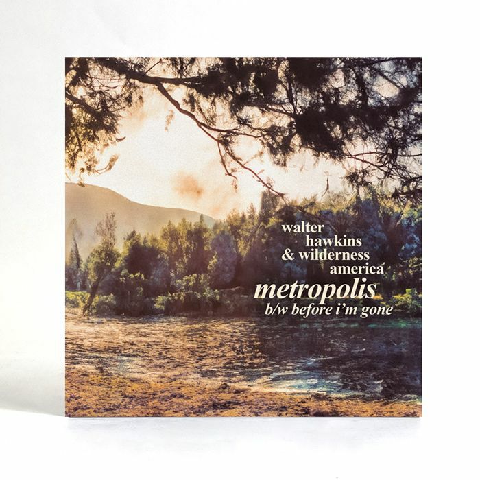 Walter Hawkins & Wilderness America - Metropolis