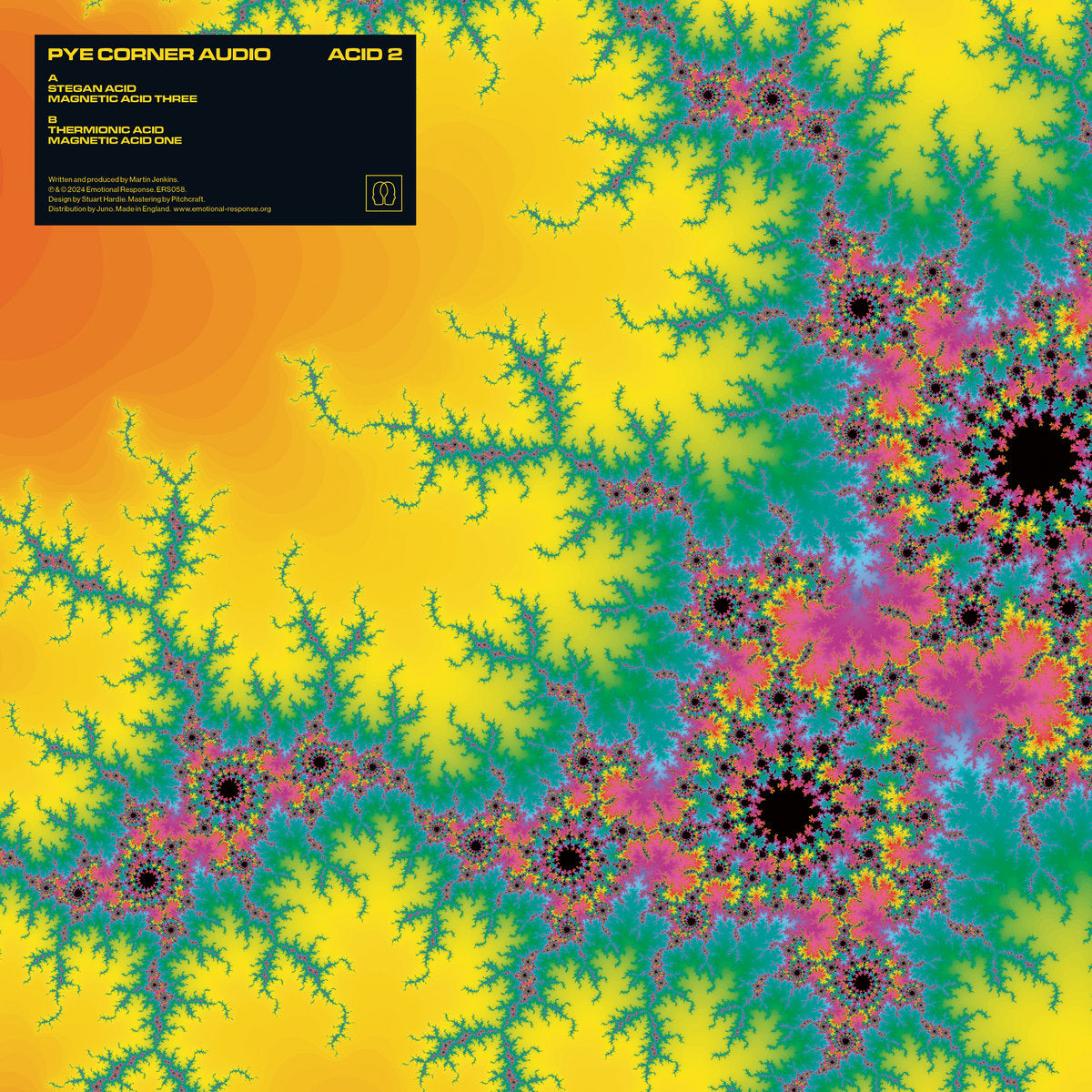 Pye Corner Audio – Acid 2