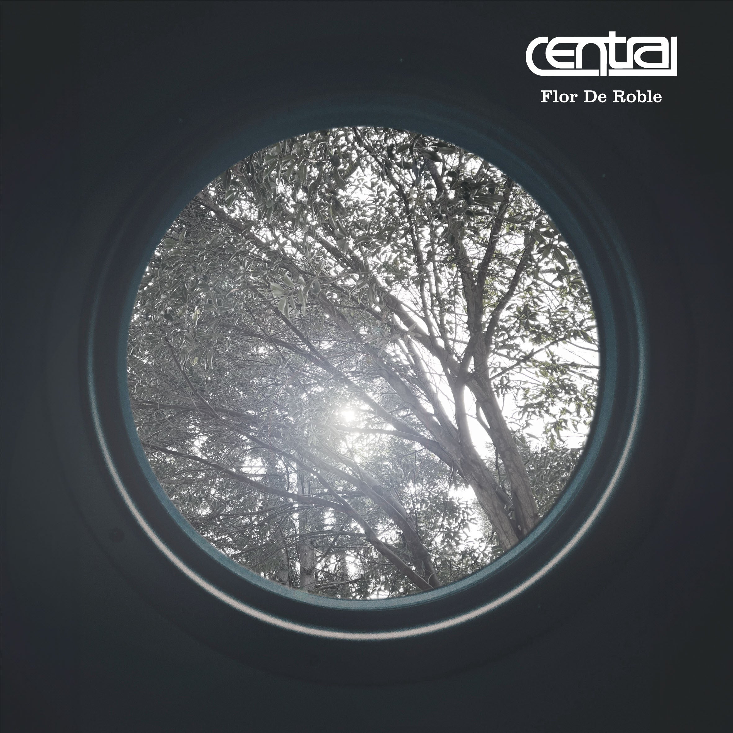 CENTRAL - Flor De Roble