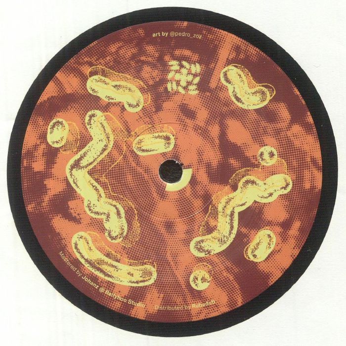 Pigeon Steve – FS1