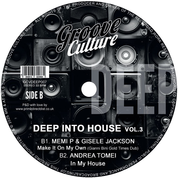 Various Artists - Deep Into House Vol.3