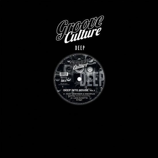 Various Artists - Deep Into House Vol.3