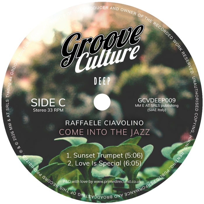 Raffaele Ciavolino – Come Into The Jazz