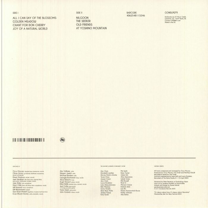 Ancient Infinity Orchestra – It's Always About Love