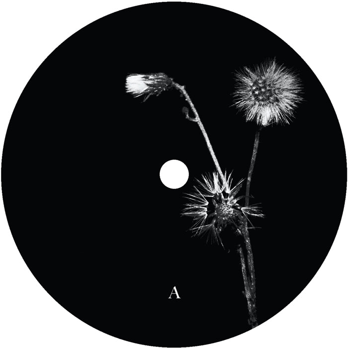 Jon Dasilva and Skyskrapa Feat. Donald Waugh - Sun Brings Joy【近日入荷予定】