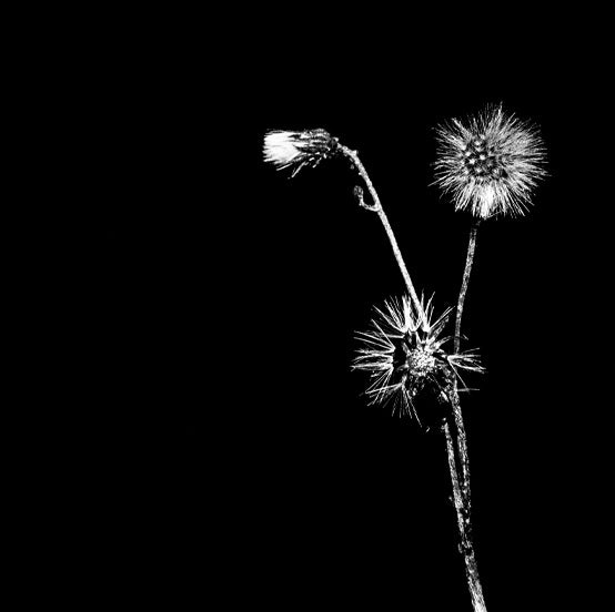 Jon Dasilva and Skyskrapa Feat. Donald Waugh - Sun Brings Joy【近日入荷予定】