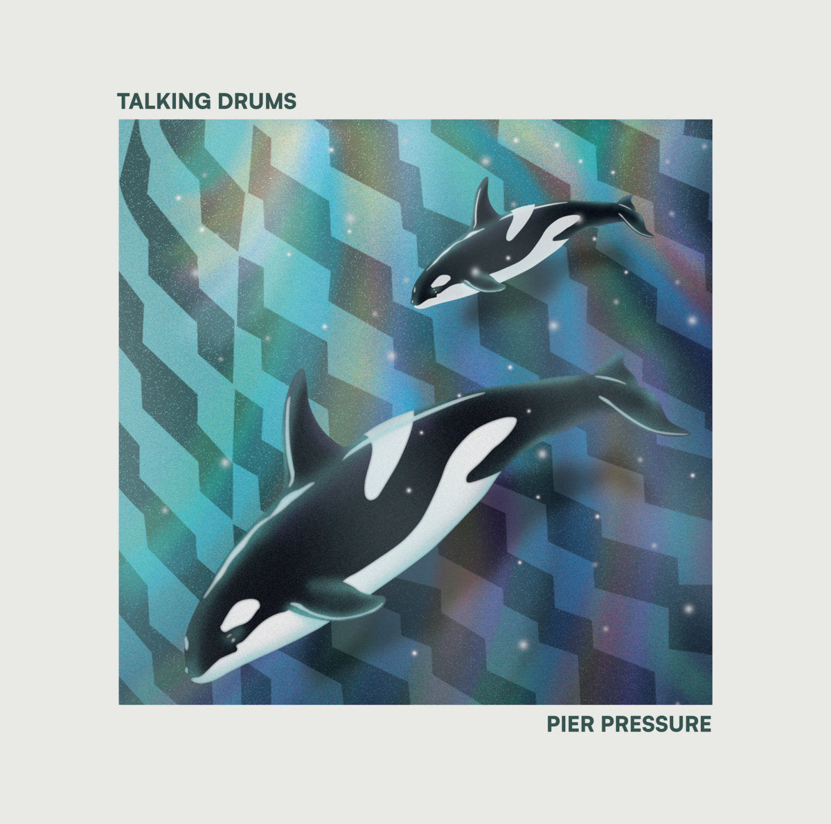 Talking Drums – Pier Pressure【近日入荷予定】