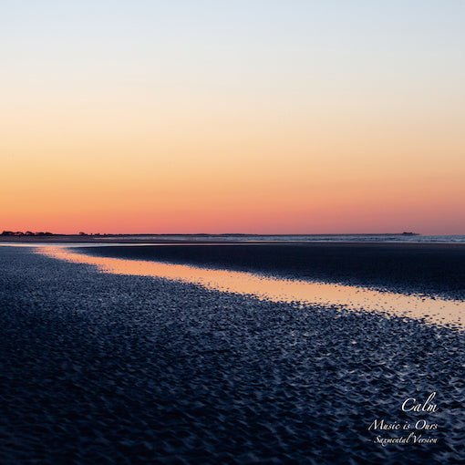 CALM / MUSIC IS OURS / SUNDAY SUN FEAT. Yoshie Nakano (7 inch) -pre-order-