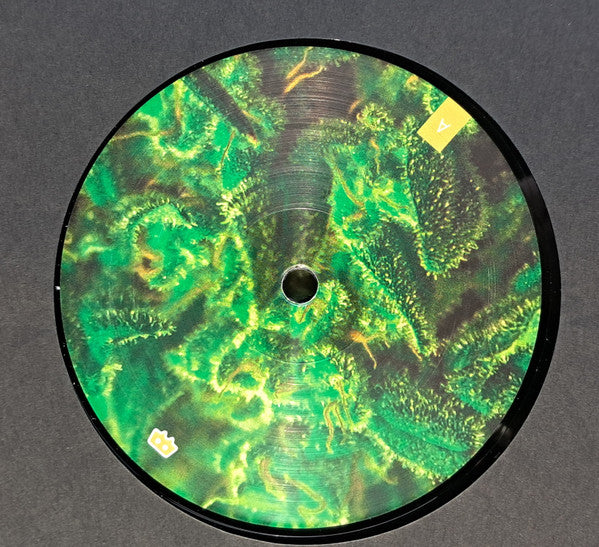 Full Bloom – Time Zones