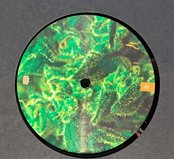 Full Bloom – Time Zones