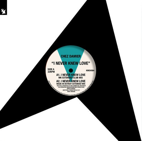 Chez Damier - I Never Knew Love【近日入荷予定】