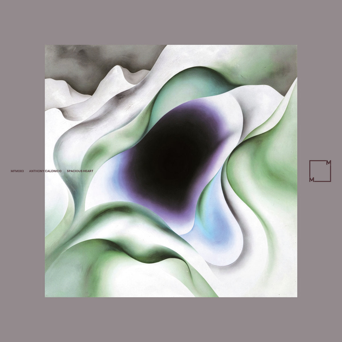 Anthony Calonico – Spacious Heart