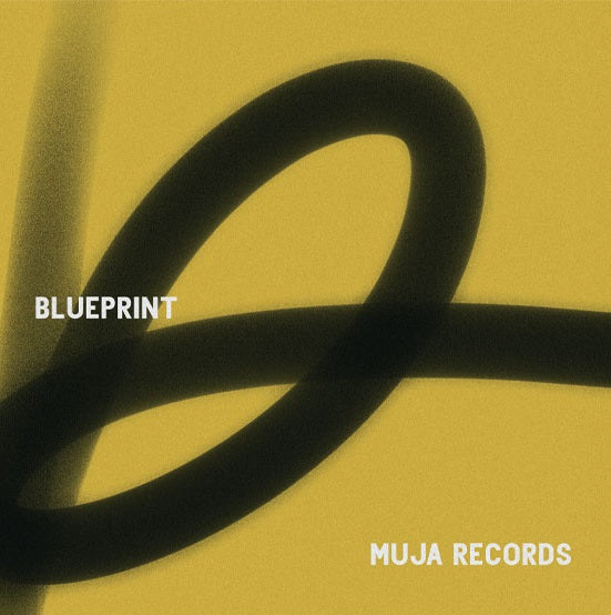 Various Artists (Kyle Hall / Gonno etc) - Blueprint