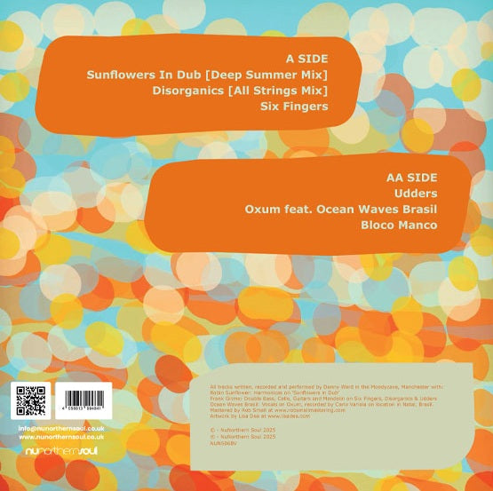 Balaphonic - resolution revolutions