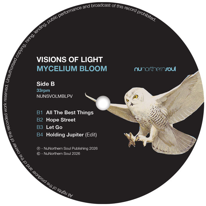 Visions of Light - Mycelium Bloom【近日入荷予定】