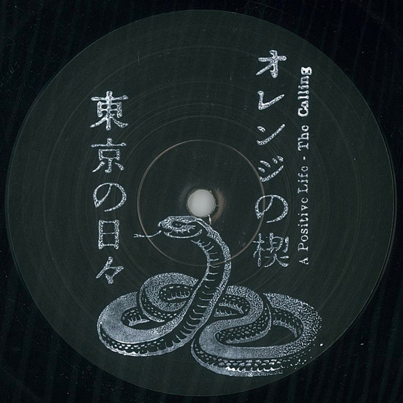 A Positive Life - The Calling -RSD LIMITED-