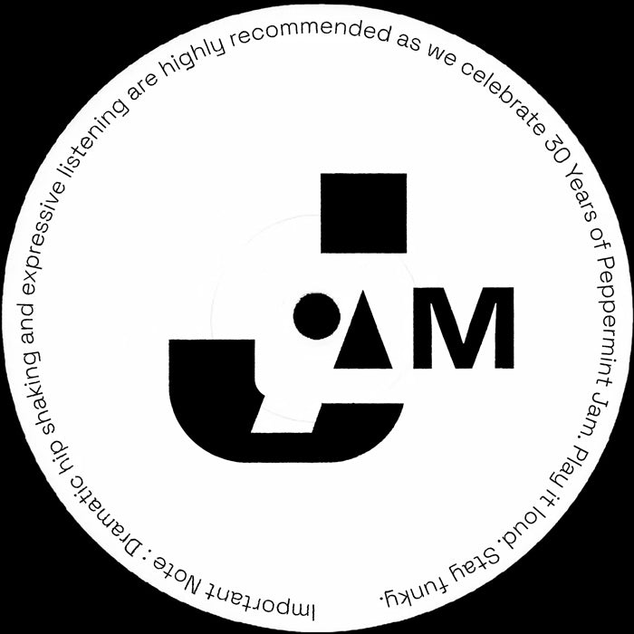 T-Ski Valley – Catch The Beat (Dimitri From Paris & Mousse T.'s Oldskool Edit)