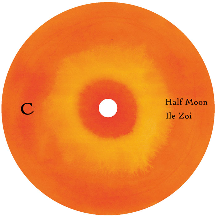 Humble B Flat - Blessings of the Sun