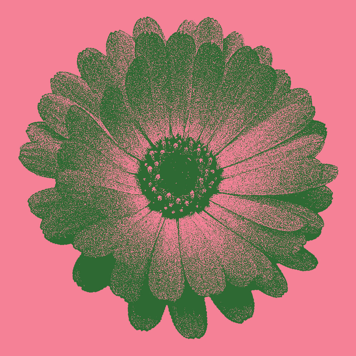 ZG - Out Of The Unknown