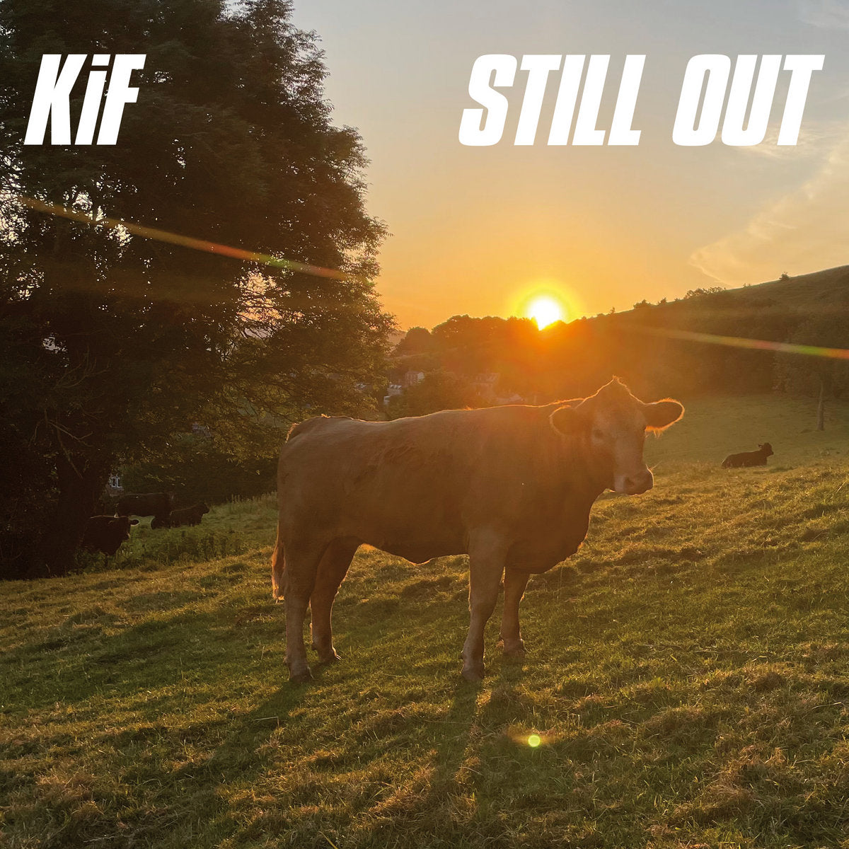 KiF – Still Out