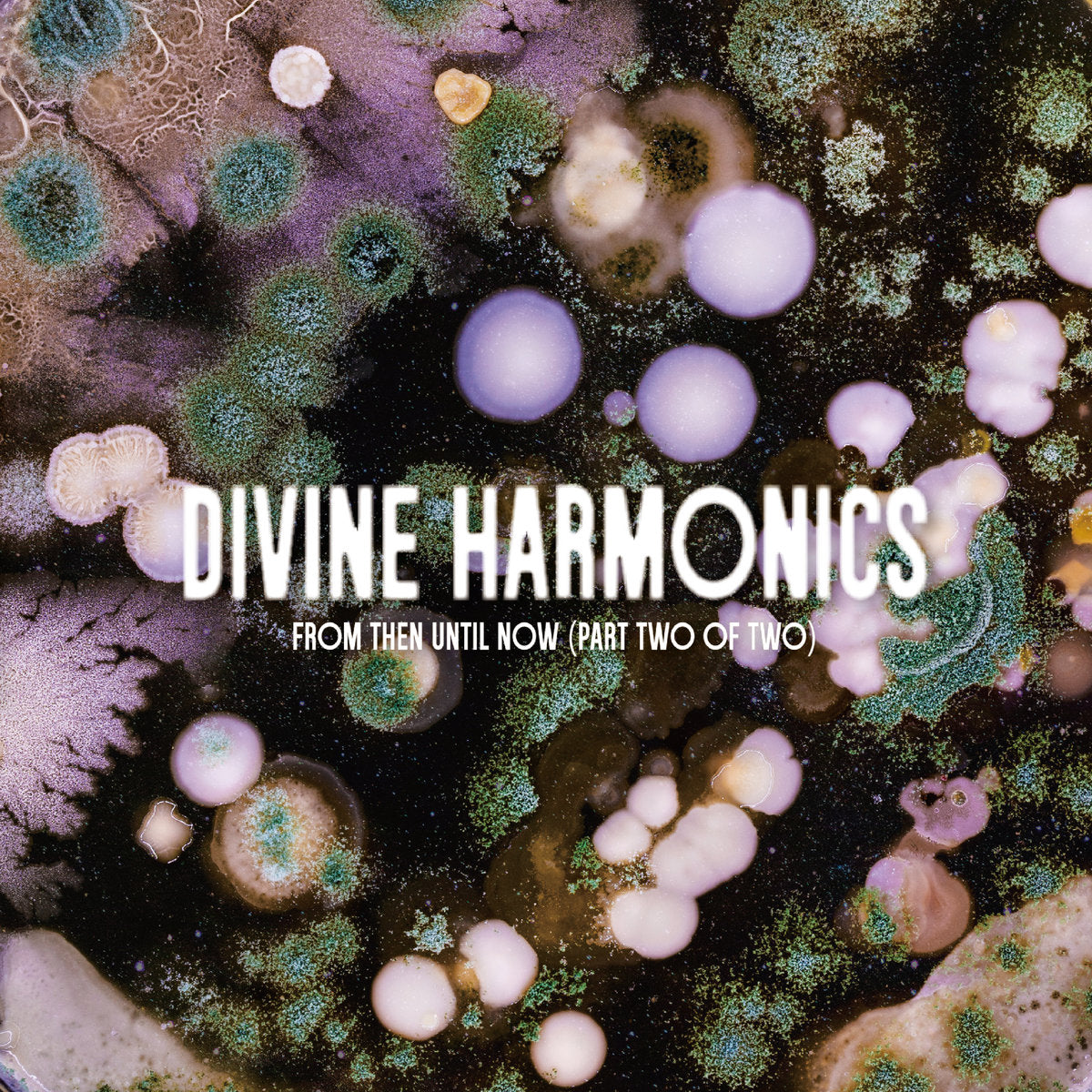 Kuniyuki Takahashi & Joaquin Joe Claussell - Divine Harmonics : From T