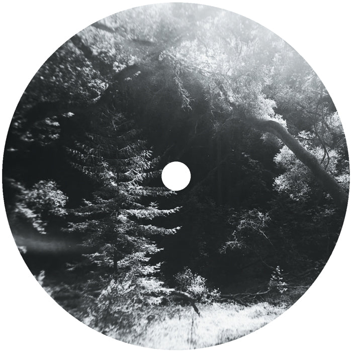 Sulah Jordan - Lady Bug【近日入荷予定】