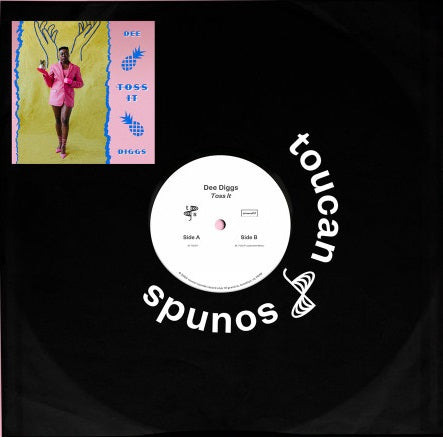 Dee Diggs – Toss It (LadyMonix / Matt FX Remixes)