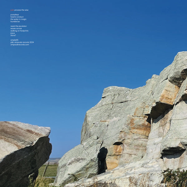 Pub – Process The Wise