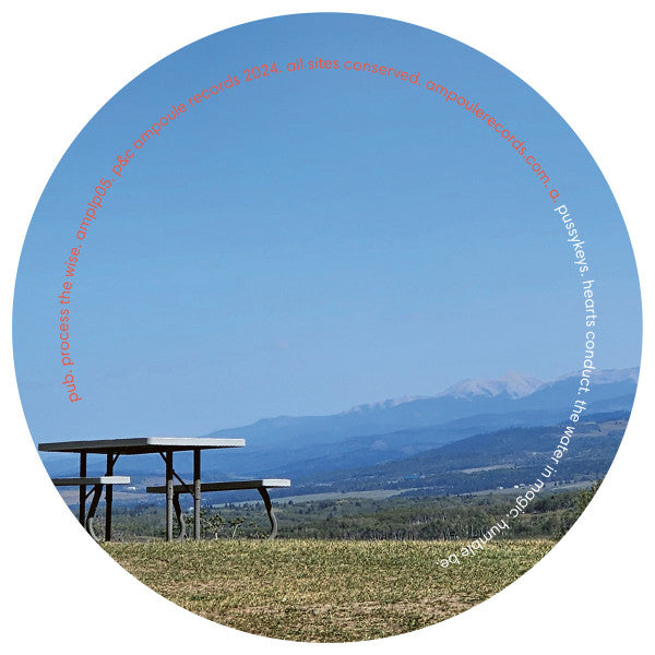 Pub – Process The Wise