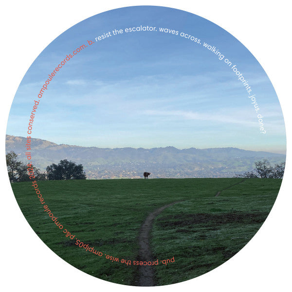 Pub – Process The Wise