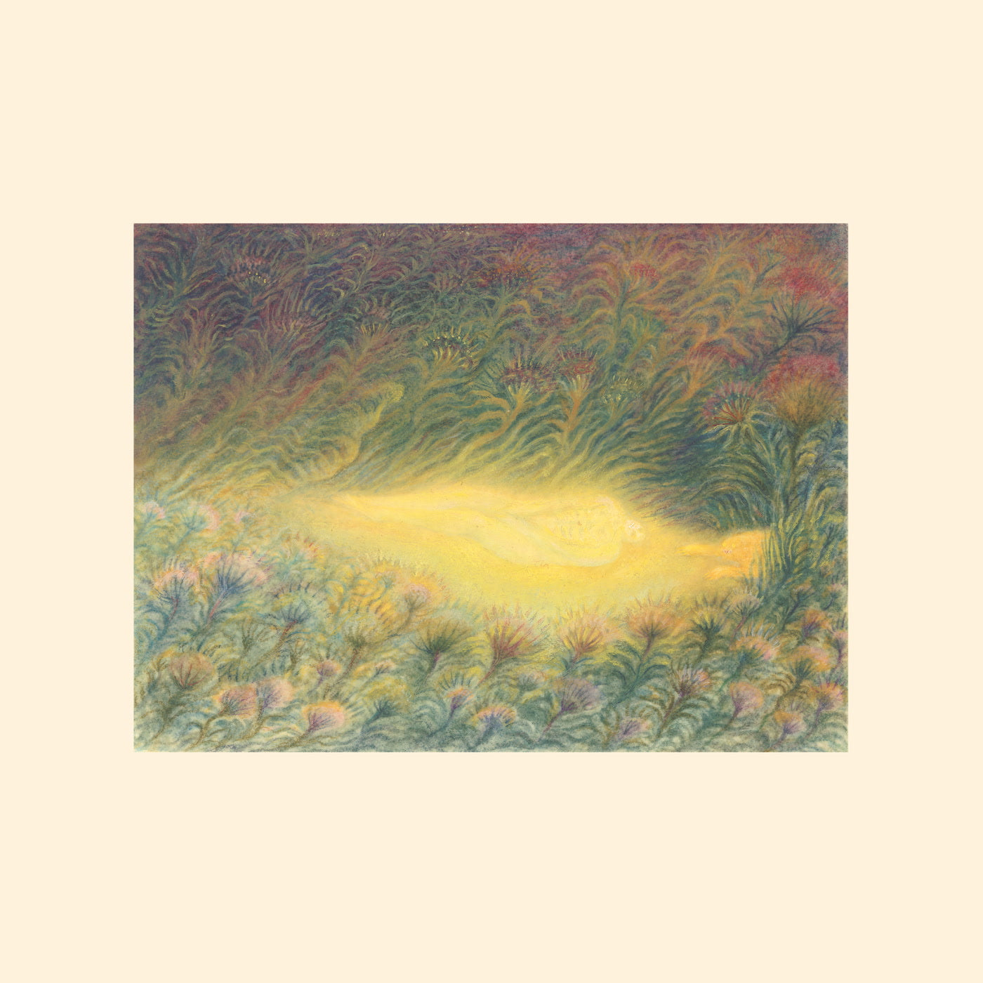 Sofie Birch & Antonina Nowacka – Languoria