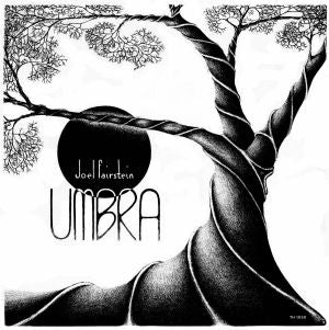 JOEL FAIRSTEIN / UMBRA (LP)