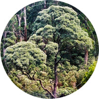 ALBRECHT LA'BROOY / GOOD MORNING PASSENGERS