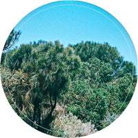 RINGS AROUND SATURN / EROSION