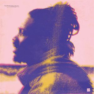 SOMA WORLD FEAT FALLE / WANT THIS (RAY MANG REMIXES)