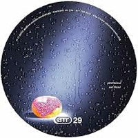 CHICAGO SKYWAY / THUNDER