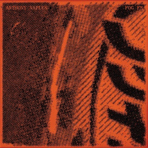 ANTHONY NAPLES / FOG FM (2LP)