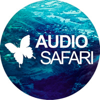 BENN FINN / BEAUTIFUL INSTANT