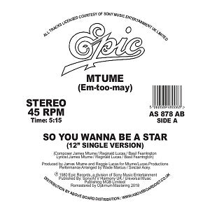 MTUME / SO YOU WANNA BE A STAR (DANNY KRIVIT)