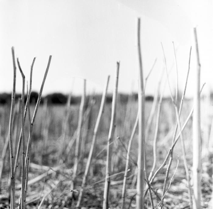 RECONDITE / ON ACID (2LP)