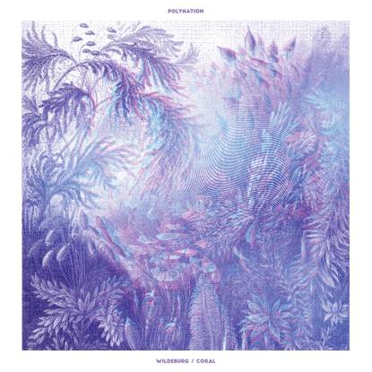 POLYNATION / WILDEBURG / CORAL