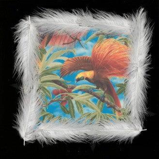 DAMIANO VON ERCKERT & TITO WUN AKA TWIT ONE / MR.PINK,WHAT HAVE YOU BEEN SMOKING ?(LP)