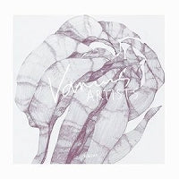 VA/BOX AUS HOLZ LOST TRACKS